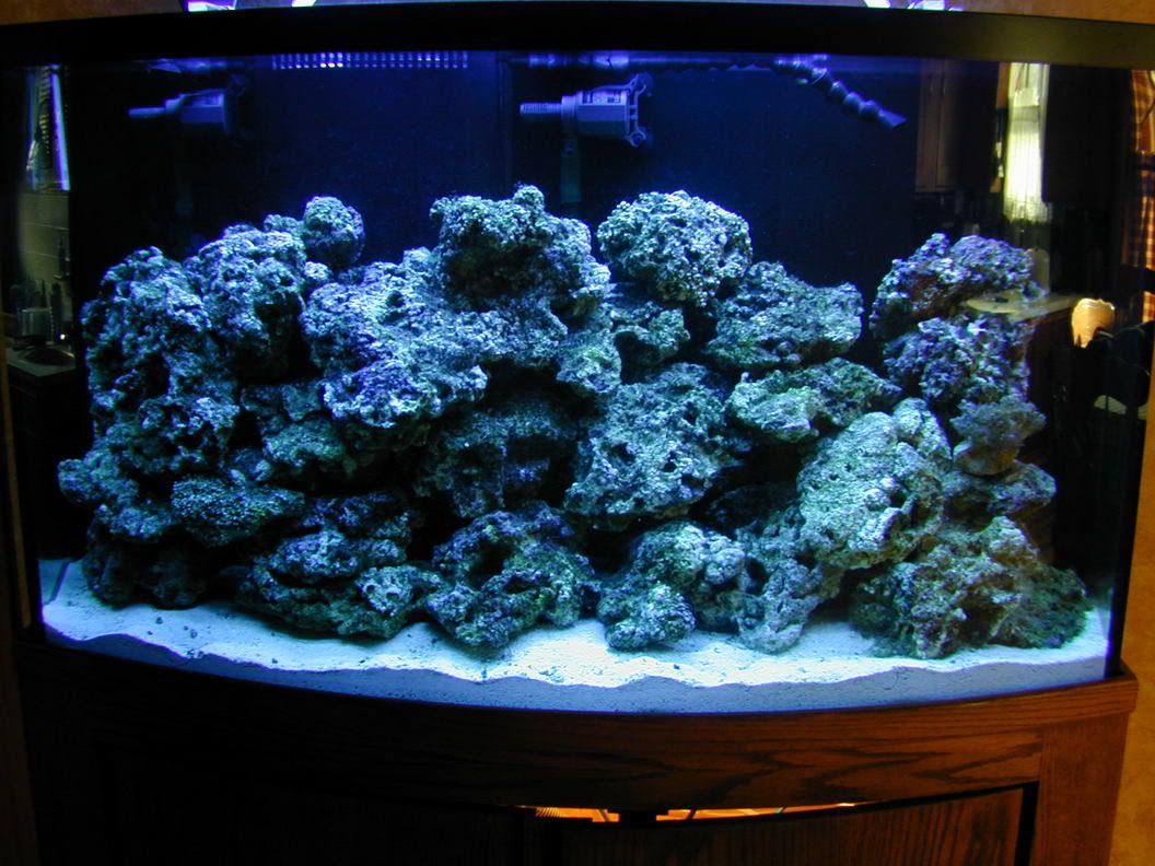 how to make a spray bar??? The Reef Tank